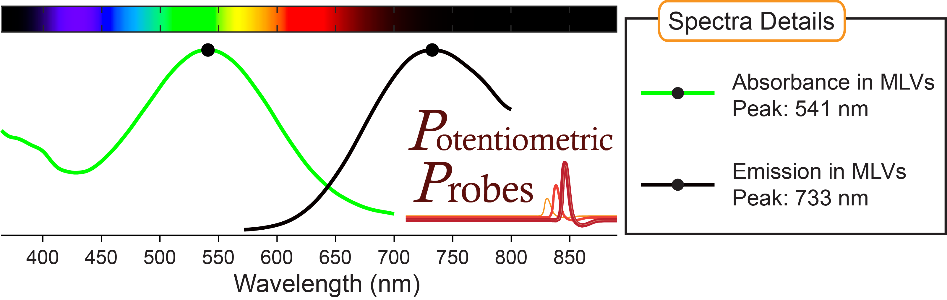 Spectra of voltage-sensitive dye Di-4-ANBDQPQ from Potentiometric Probes