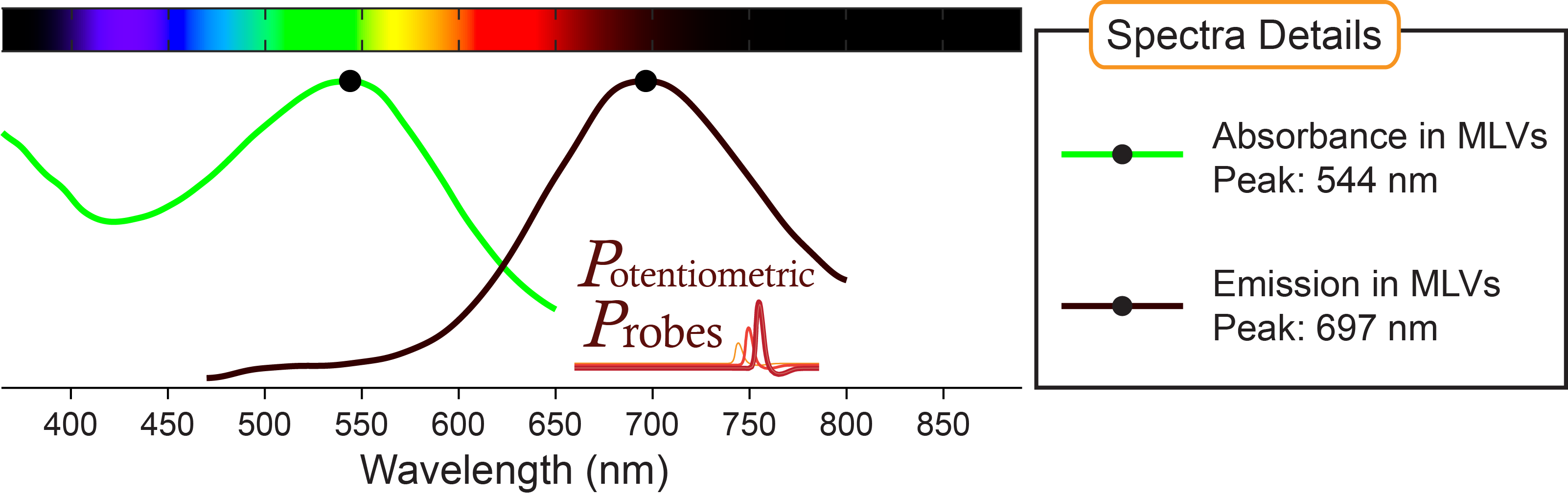 Spectra of voltage-sensitive dye Di-4-ANEQ(F)PTEA from Potentiometric Probes