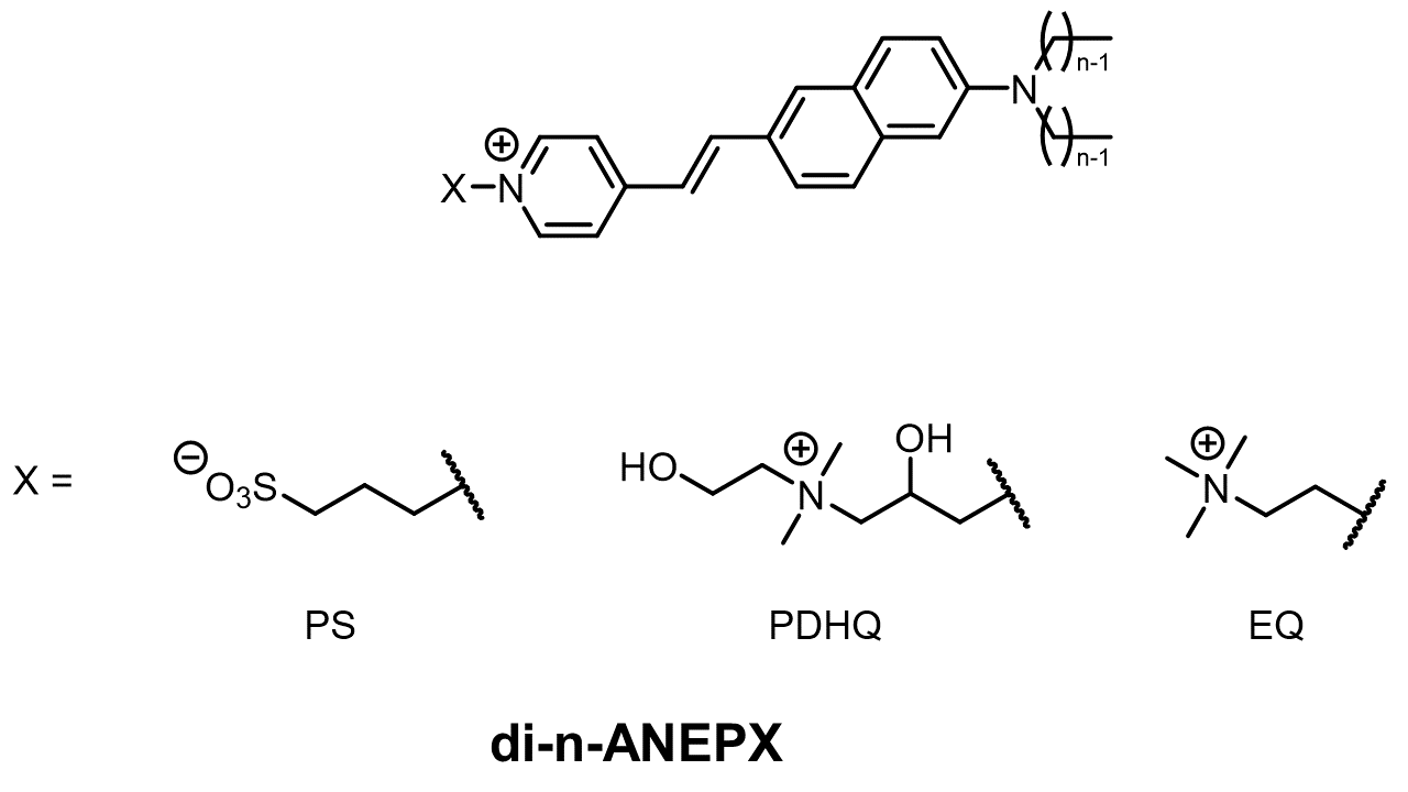 Nomenclature guide for ANEP VSDs