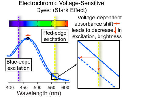 Stark Effect | Potentiometric Probes